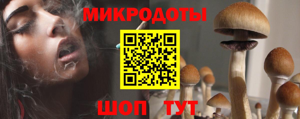 Свободный  Галлюциногенные грибы мицелий  Псилоцибиновые грибы Cubensis  Вход с VPN 